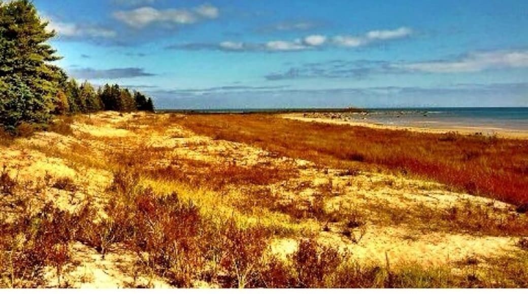 Lake Michigan in the fall is soul soothing. Great little semi secluded beach to hang out for an afternoon.
#michigan #puremichigan #fall #leaves #autumn