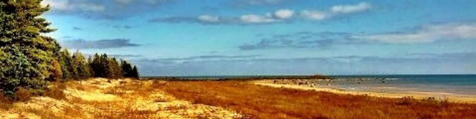 Lake Michigan in the fall is soul soothing. Great little semi secluded beach to hang out for an afternoon.
#michigan #puremichigan #fall #leaves #autumn