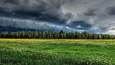 'Somewhere' in the middle of 'Nowhere'.
Sometimes it's hard to explain what nature can give us. It's absolute beauty which has to be rather felt or experienced.!
#landscape #michigan #surreal_moment #upnorthmichigan #clouds #nature