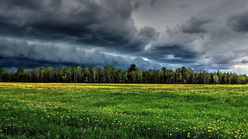 'Somewhere' in the middle of 'Nowhere'.
Sometimes it's hard to explain what nature can give us. It's absolute beauty which has to be rather felt or experienced.!
#landscape #michigan #surreal_moment #upnorthmichigan #clouds #nature