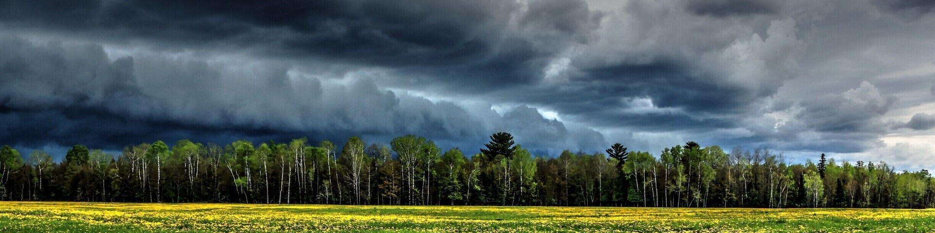 'Somewhere' in the middle of 'Nowhere'.
Sometimes it's hard to explain what nature can give us. It's absolute beauty which has to be rather felt or experienced.!
#landscape #michigan #surreal_moment #upnorthmichigan #clouds #nature