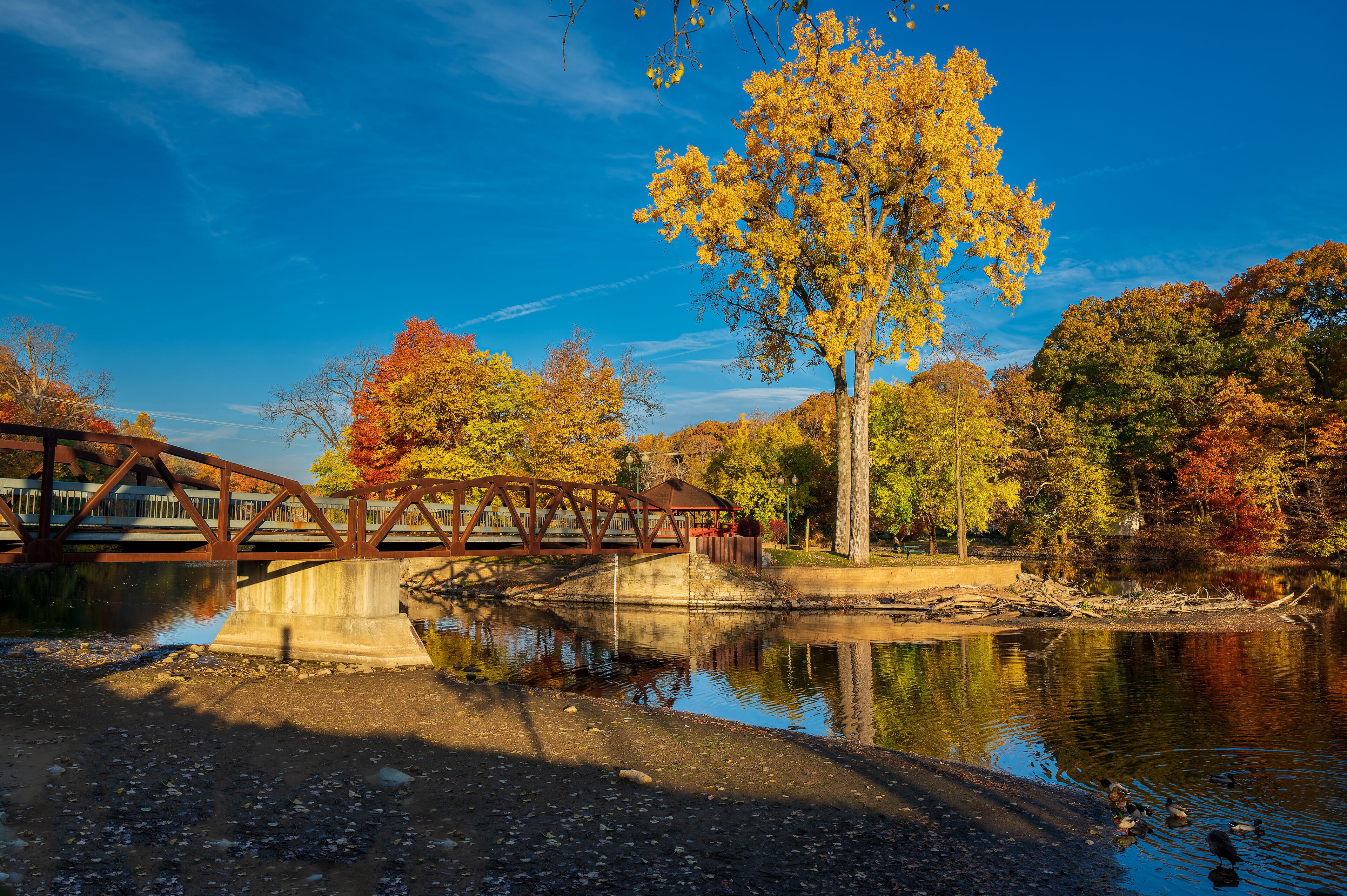 Vibrant fall colors surrounding the bridge in Island Park Grand Ledge, MI