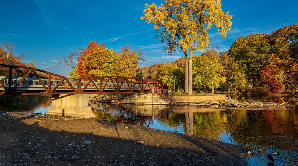 Vibrant fall colors surrounding the bridge in Island Park Grand Ledge, MI