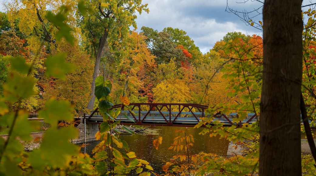 Vibrant fall colors surrounding the bridge in Island Park Grand Ledge, MI