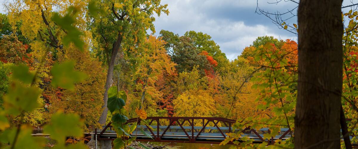 Vibrant fall colors surrounding the bridge in Island Park Grand Ledge, MI