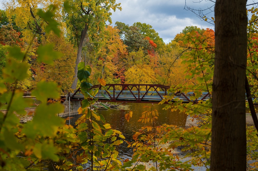 Vibrant fall colors surrounding the bridge in Island Park Grand Ledge, MI