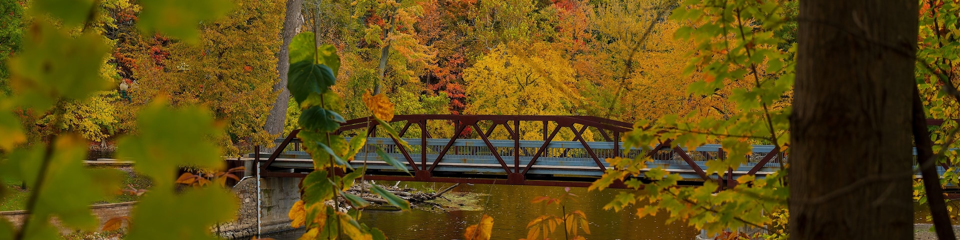 Vibrant fall colors surrounding the bridge in Island Park Grand Ledge, MI