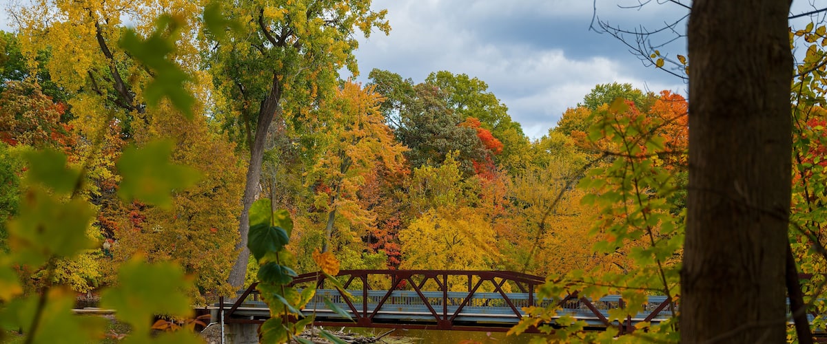 A bridge over a river surrounded by autumn foliage.