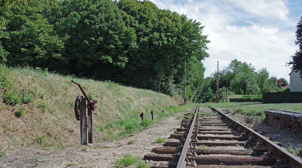 Heugnes (Indre) La gare. La voie métrique et le treuil de commande du passage à niveau. La gare d'Heugnes est une gare de la ligne de Salbris au Blanc. Elle est mise en service, le 17 novembre 1902. Le trafic voyageurs a cessé en 1980 et le trafic marchandises en 1988. La ligne a été inscrite au titre des monuments historiques en 1993. Pour la gare, sont conservés : le bùtiment voyageurs avec la halle marchandise accolée, le quai, la lampisterie-toilettes, le puits, le passage à niveau.