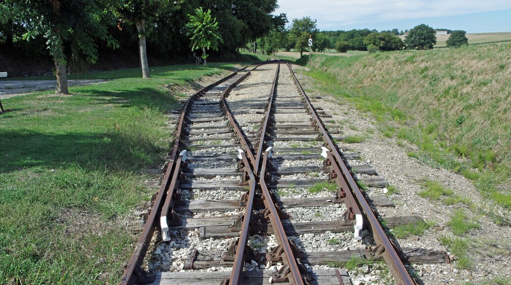 Heugnes (Indre) La gare. L'aiguillage en sortie de gare. La gare d'Heugnes est une gare de la ligne de Salbris au Blanc. Elle est mise en service, le 17 novembre 1902. Le trafic voyageurs a cessé en 1980 et le trafic marchandises en 1988. La ligne a été inscrite au titre des monuments historiques en 1993. Pour la gare, sont conservés : le bùtiment voyageurs avec la halle marchandise accolée, le quai, la lampisterie-toilettes, le puits, le passage à niveau.