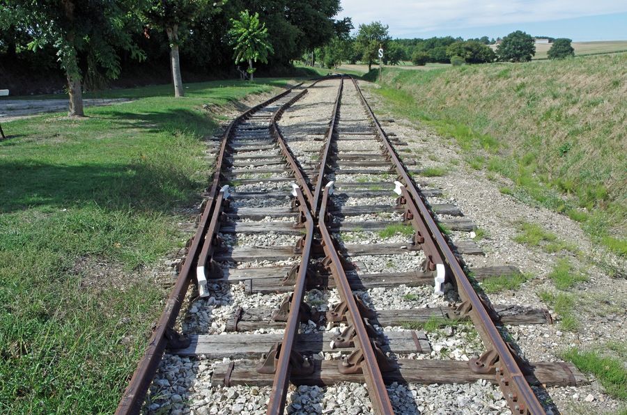 Vías de tren serpenteando a través de un campo cubierto de hierba, con árboles al fondo.