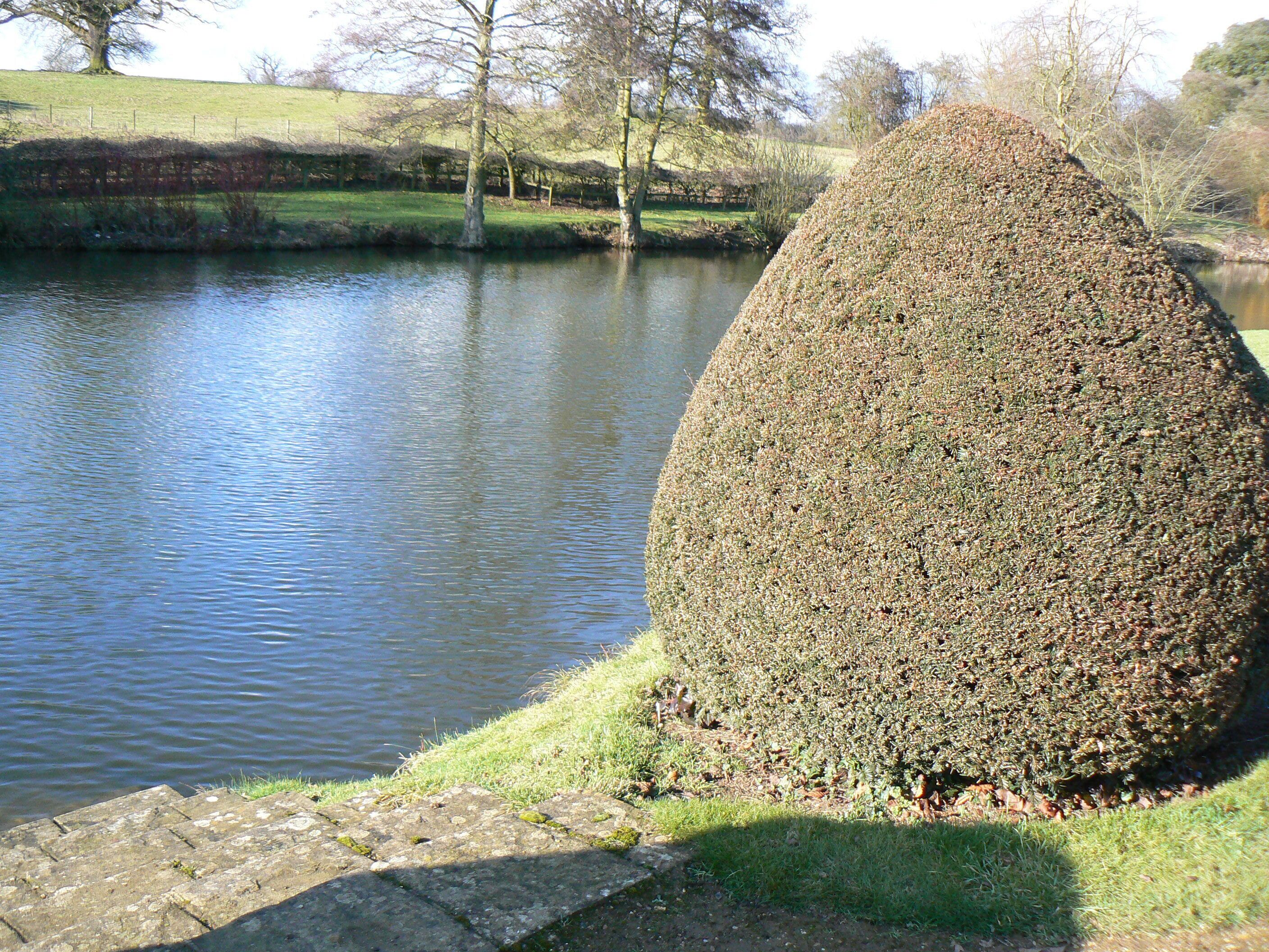 A pond with a neatly trimmed hedge and a stone pathway.