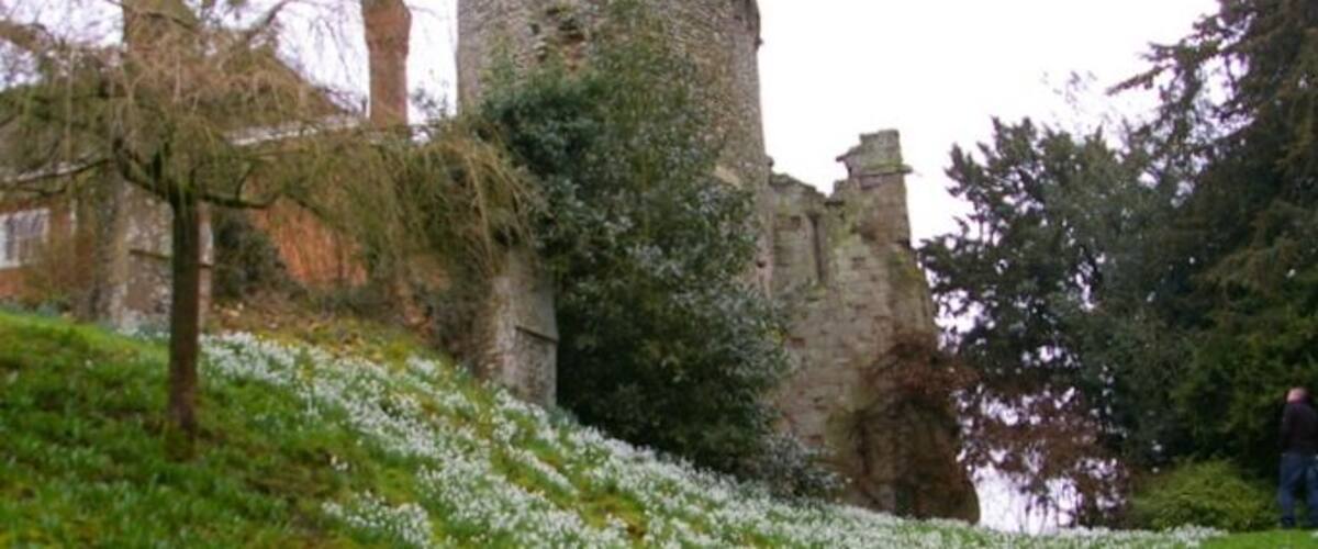 A historic stone tower amidst a lush green landscape with white flowers.