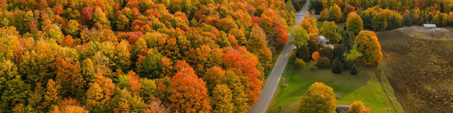 Beautiful late day sun light on scenic drive in autumn through the central Michigan farm countryside near Cadillac