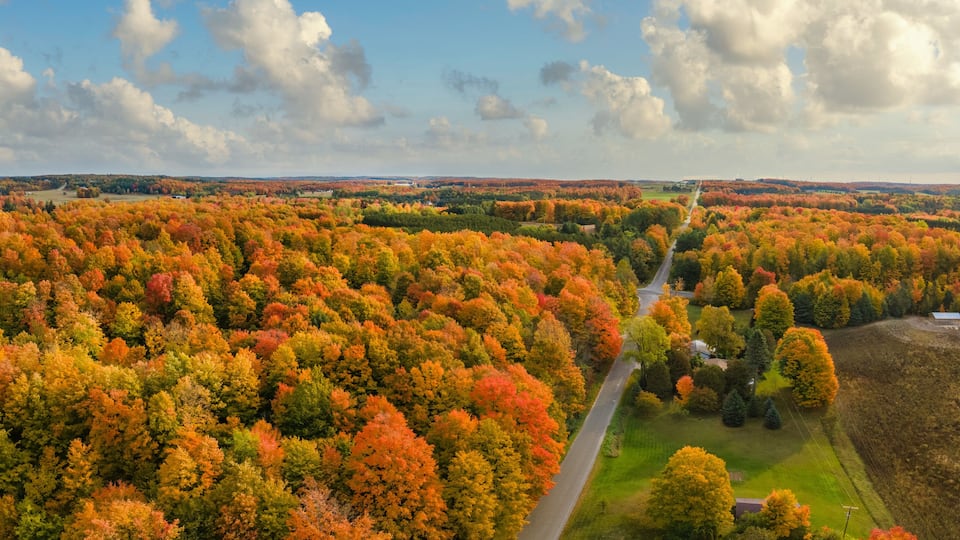 An aerial view of a forested area with a winding road.