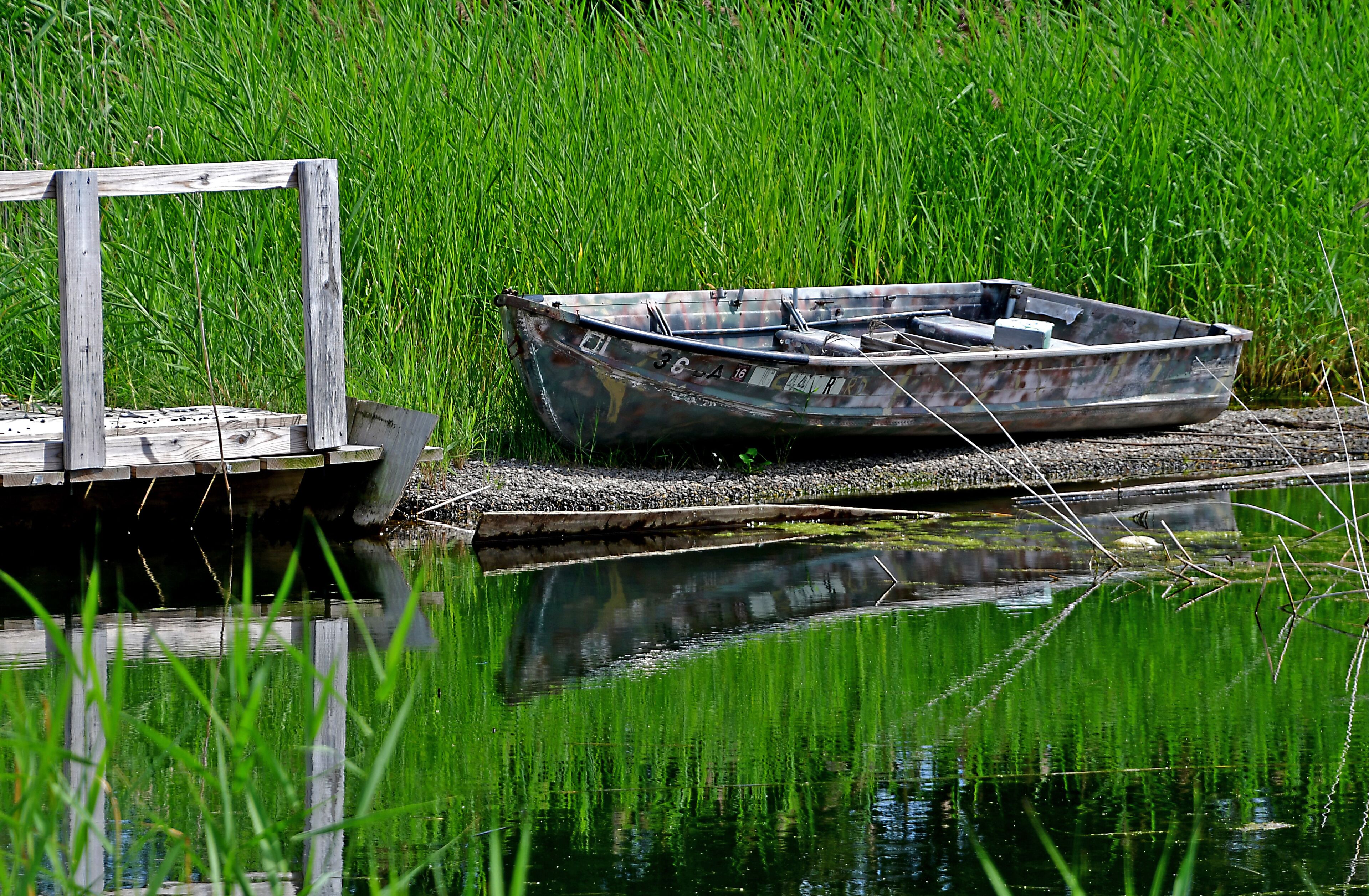 Harsens Island is at the heart of an amazingly complex and diverse ecosystem that is the largest freshwater delta in North America.

Located between the St. Clair and Detroit rivers, Lake St. Clair is part of the watery conduit between Lake Huron and Lake Erie. Harsens Island is located where the St. Clair River meets Lake St. Clair, in the area commonly called the St. Clair Flats.

From fast-flowing channels to vast, shallow bays; from marshes to oak forests and rare lakeplain prairies, these varied habitats support an abundance of waterfowl, fish and other wildlife species.