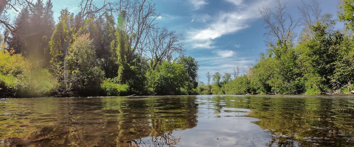 White River - Hesperia, Michigan 2