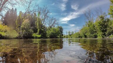 A river with clear water reflecting trees and sky.