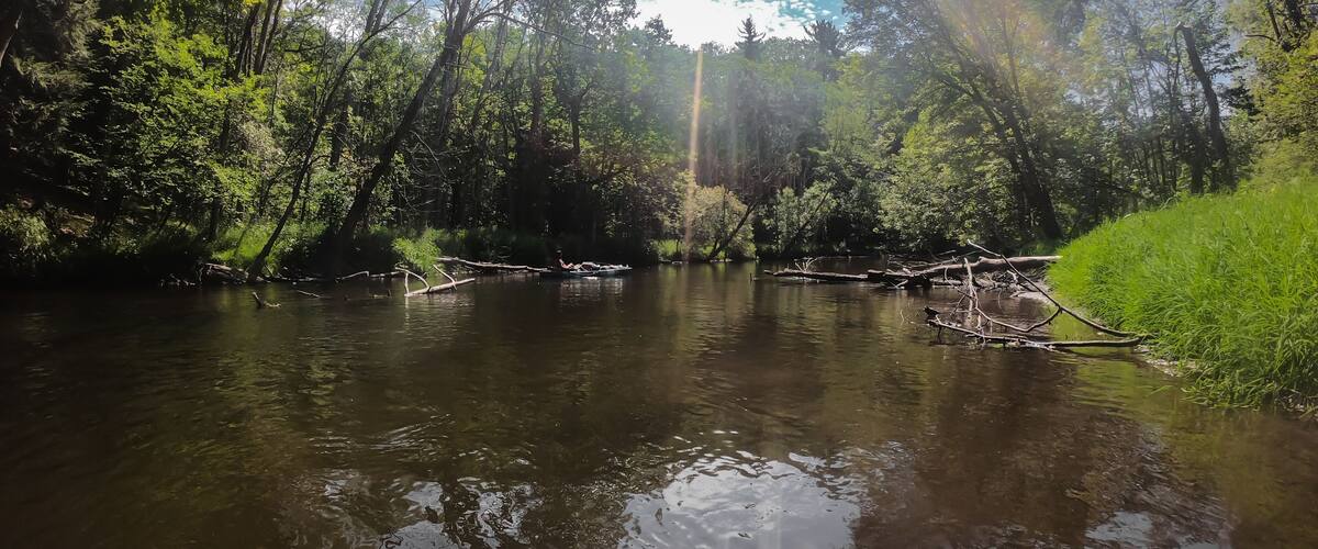 A calm river surrounded by dense green foliage and trees.