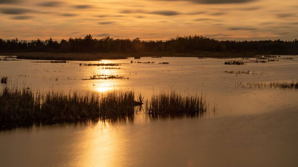 A sunset over a calm lake with reflections of the sky, surrounded by reeds and trees.