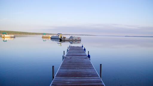 ฮิกกินส์ เลค