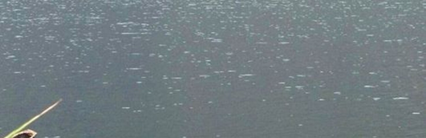 Um lago tranquilo com barcos de madeira atracados na margem.
