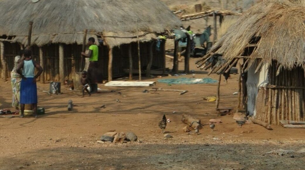 #troveron
#africa #mozambique