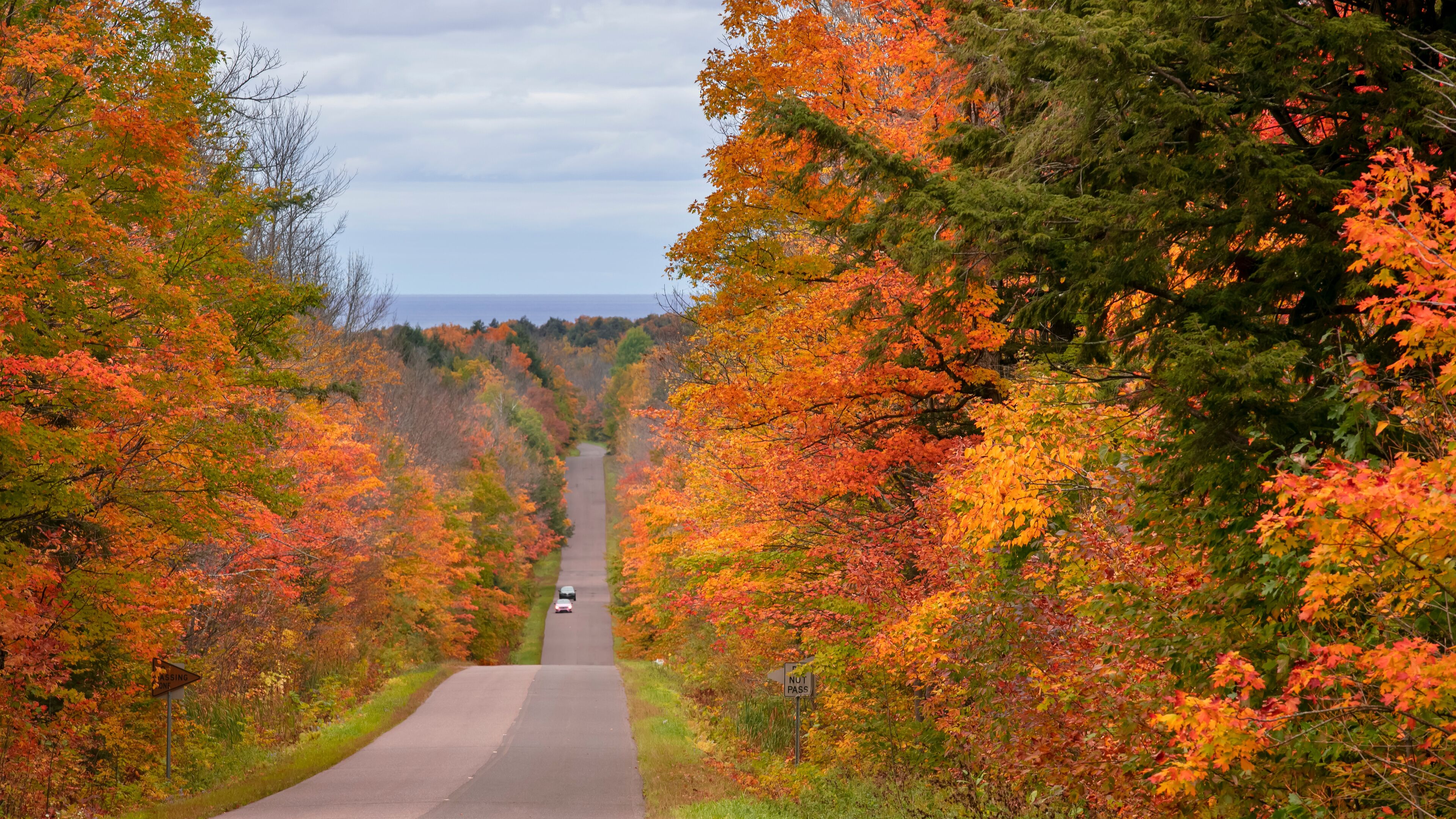 A road flanked by autumn-colored trees, a 'No Parking' sign, and a 'Yield' sign.