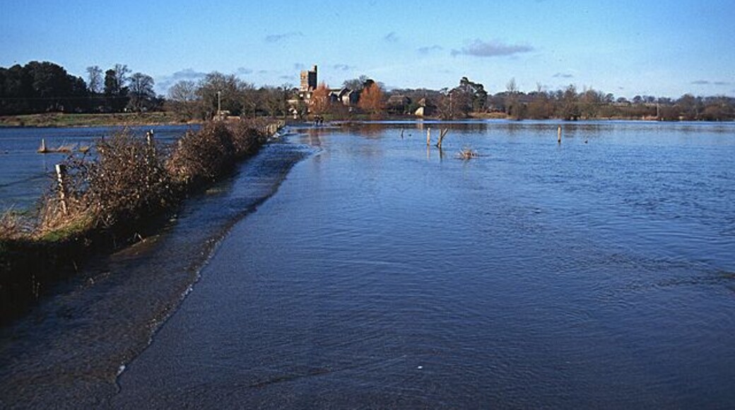 The Avon Flood Plain in Winter, near Ibsley Bridge The view is to the northwest, looking towards Harbridge.