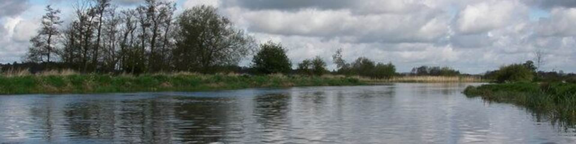 River Avon above Ibsley Trees growing at an angle, presumably because of the prevailing wind in this open stretch of meadows beside the Avon.