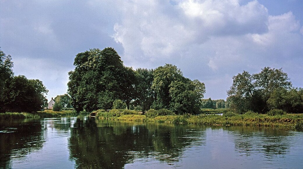 The Avon from Ibsley Bridge