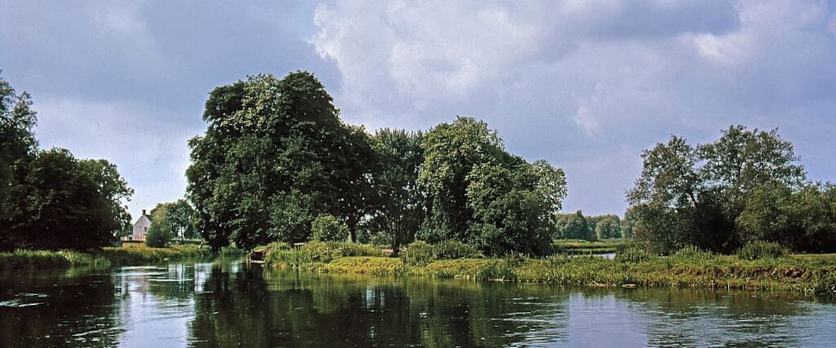 The Avon from Ibsley Bridge