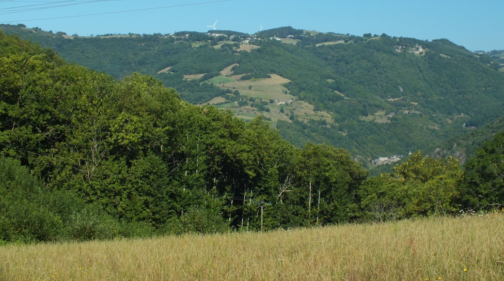 Description=le Planol is a village in the commune of Saint-Victor-et Melvieu in southern Aveyron, in the Raspes de Tarn region. It hosts a switching station on the 400 000V grid, transforming down to 63 000V and 20 000V for local distribution, the valley is criss-crossed with power lines..