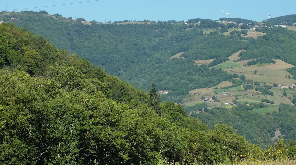le Planol is a village and commune of lSaint-Victor-et Melvieu in southern Aveyron, in the Raspes de Tarn region. It hosts a switching station on the 400 000V grid, transforming down to 63 000V and 20 000V for local distribution. Overhead wires criss-cross the valley of the Tarn.