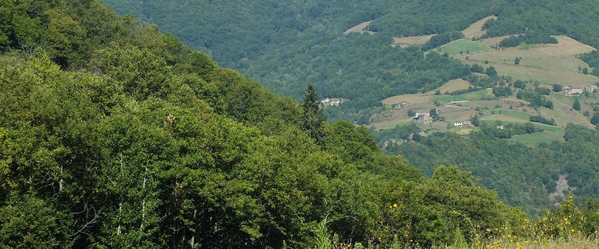 A lush green valley with rolling hills, scattered houses, and wind turbines in the distance.