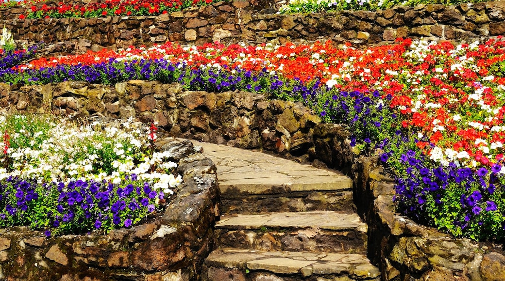 A castle with a stone staircase surrounded by colorful flower beds.
