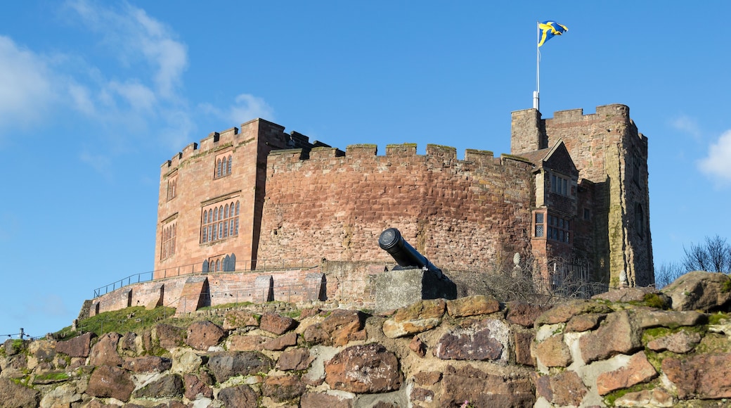 A historic stone castle with a flag on top, a large cannon, and a clear blue sky.
