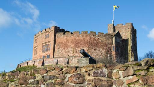 A historic stone castle with a flag on top, a large cannon, and a clear blue sky.