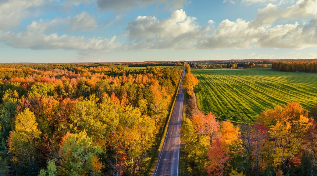 Beautiful late day sun light on scenic drive in autumn through the central Michigan farm countryside near Cadillac