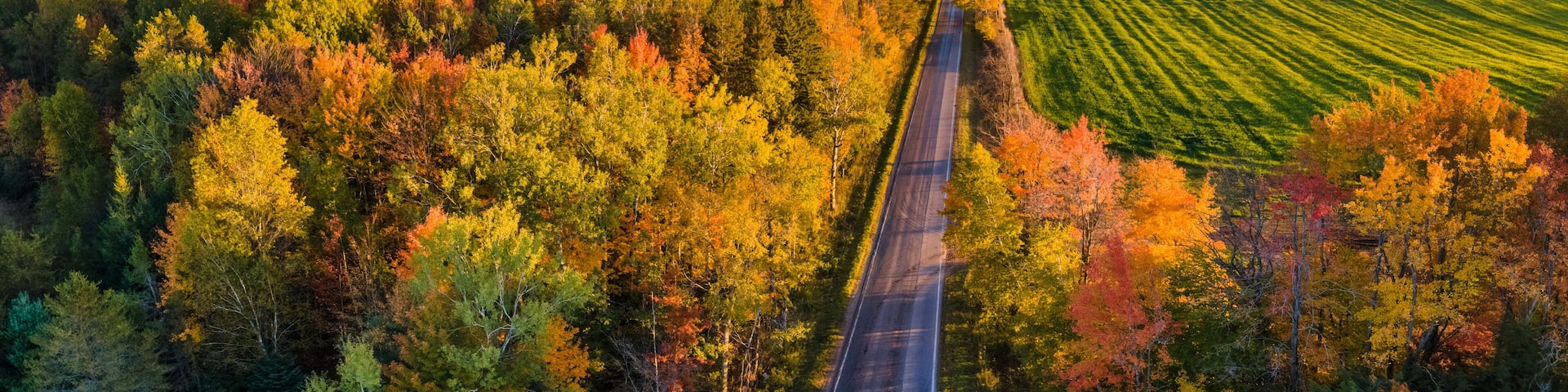 Beautiful late day sun light on scenic drive in autumn through the central Michigan farm countryside near Cadillac