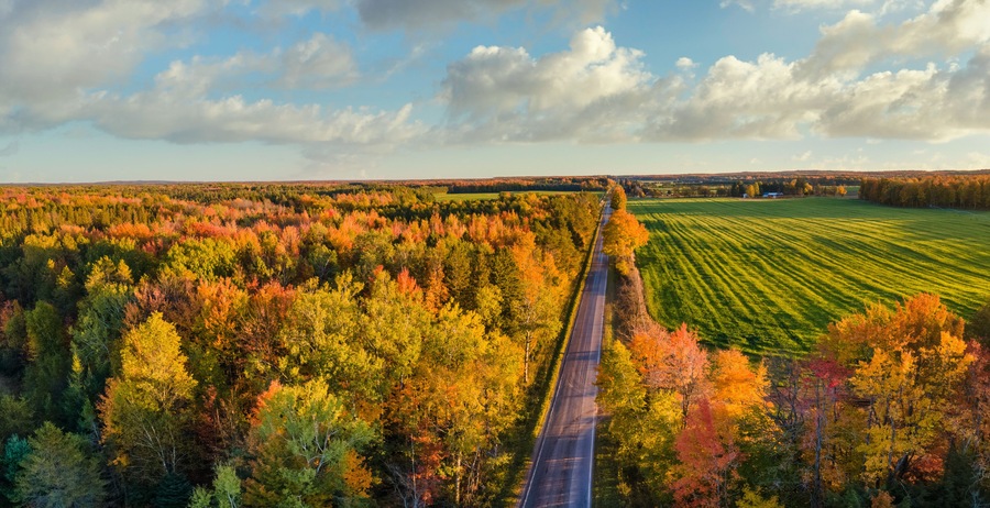 Beautiful late day sun light on scenic drive in autumn through the central Michigan farm countryside near Cadillac
