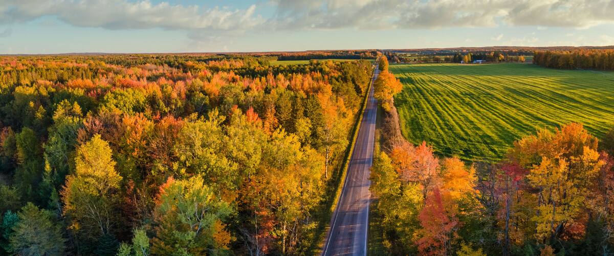 A road cutting through a forest with autumn foliage, a field on the right, and a cloudy sky.