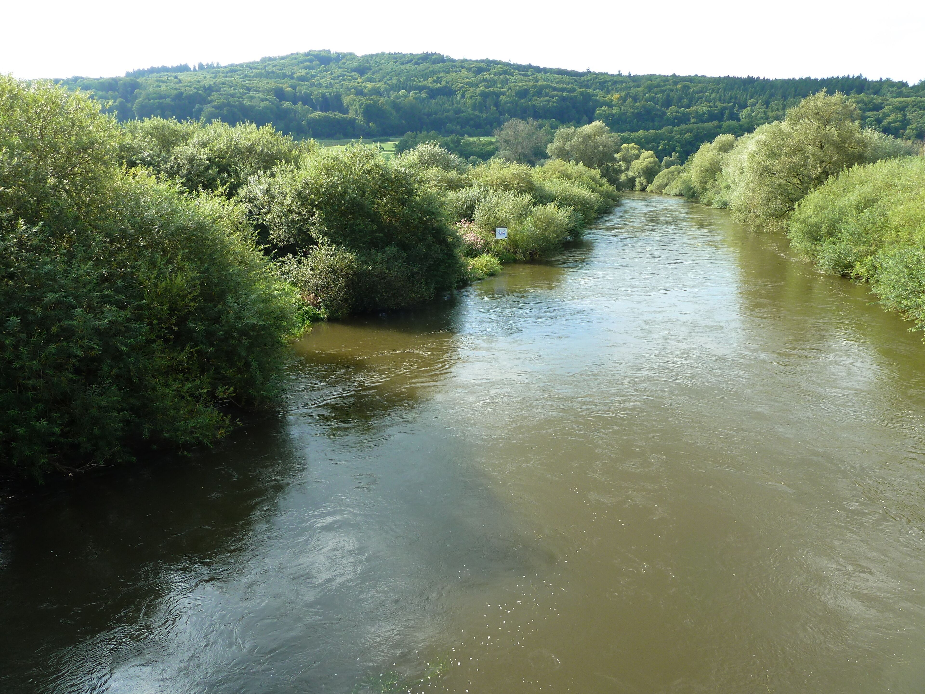 (NSG:BW-4.189)_Flußlandschaft Donauwiesen. Donau bei Zell, Riedlingen.