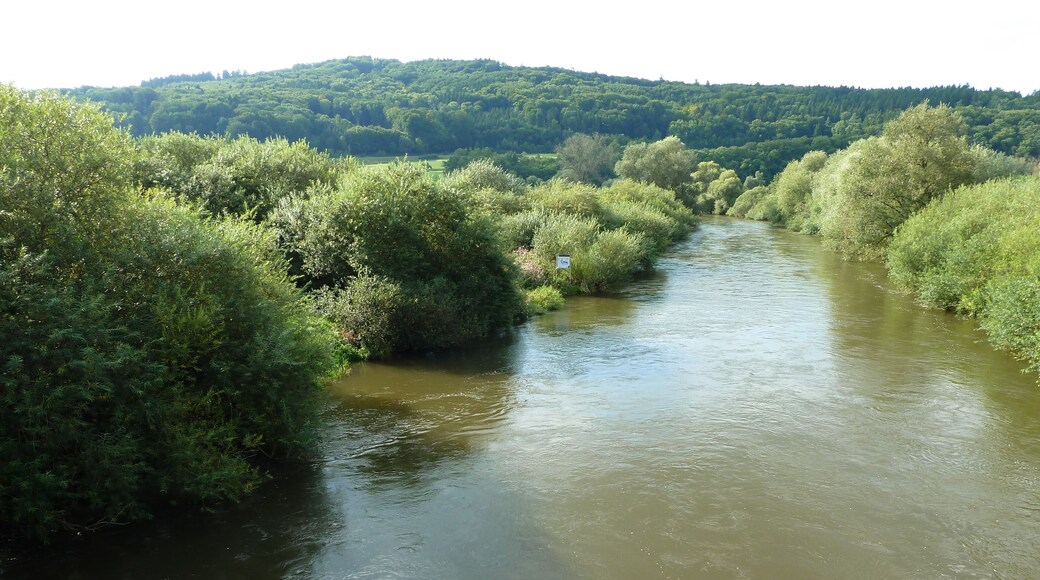 (NSG:BW-4.189)_Flußlandschaft Donauwiesen. Donau bei Zell, Riedlingen.