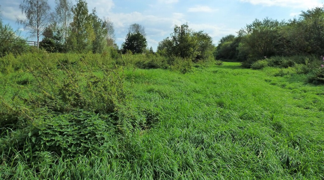 (NSG:BW-4.189)_Flußlandschaft Donauwiesen Donauwiesen bei Zell, Riedlingen