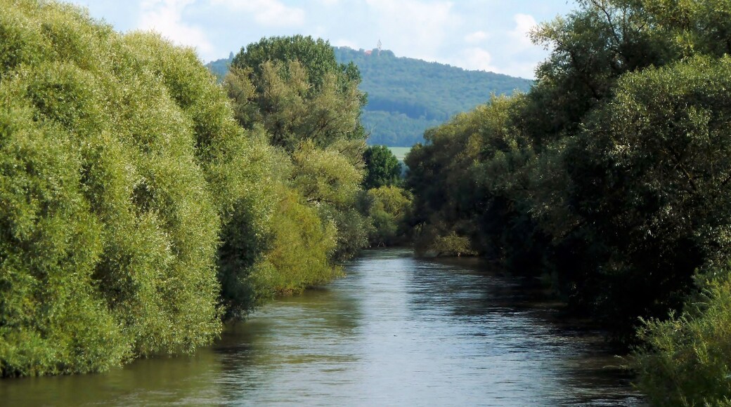 River Danube Meadows. Danube near Zell, Riedlingen. Church Bussen (767 meters above sea level).