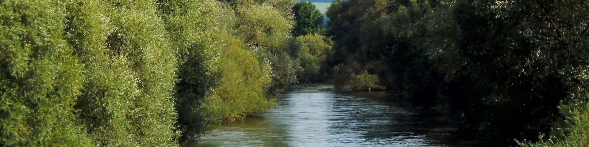 River Danube Meadows. Danube near Zell, Riedlingen. Church Bussen (767 meters above sea level).