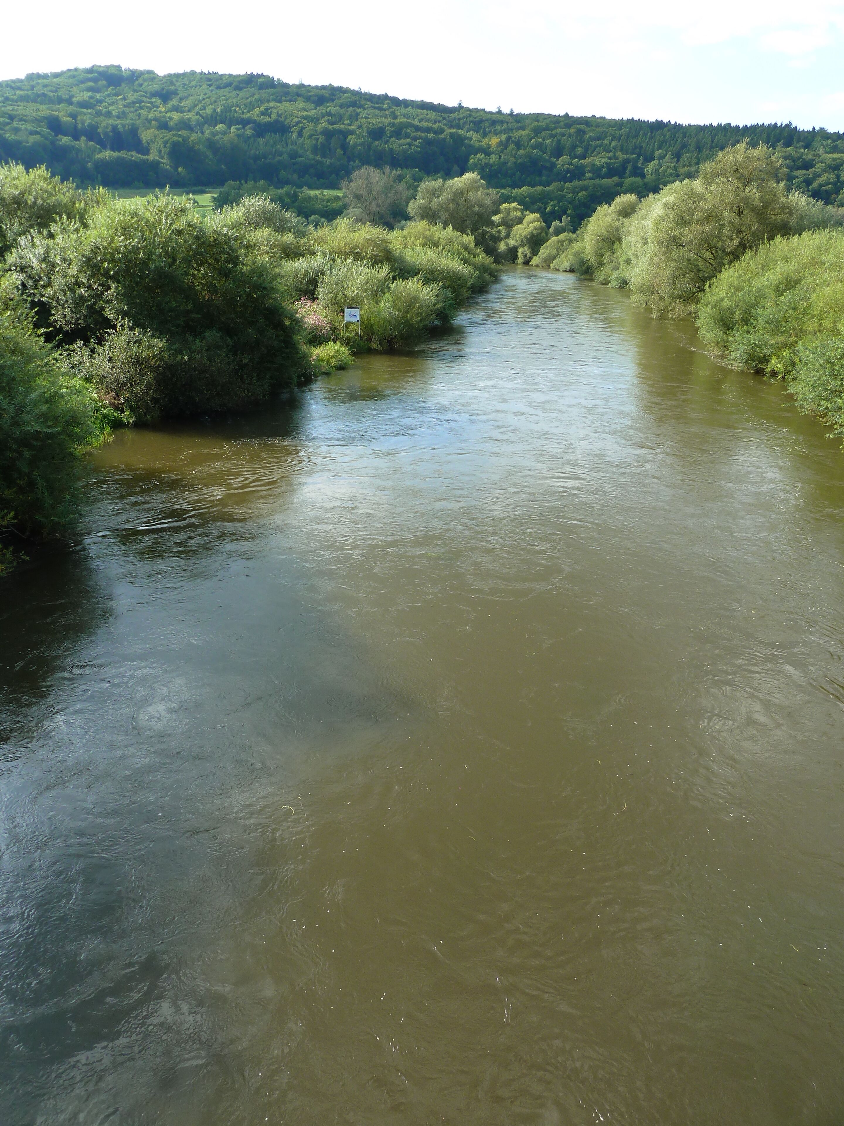 (NSG:BW-4.189)_Flußlandschaft Donauwiesen. Donau bei Zell, Riedlingen.