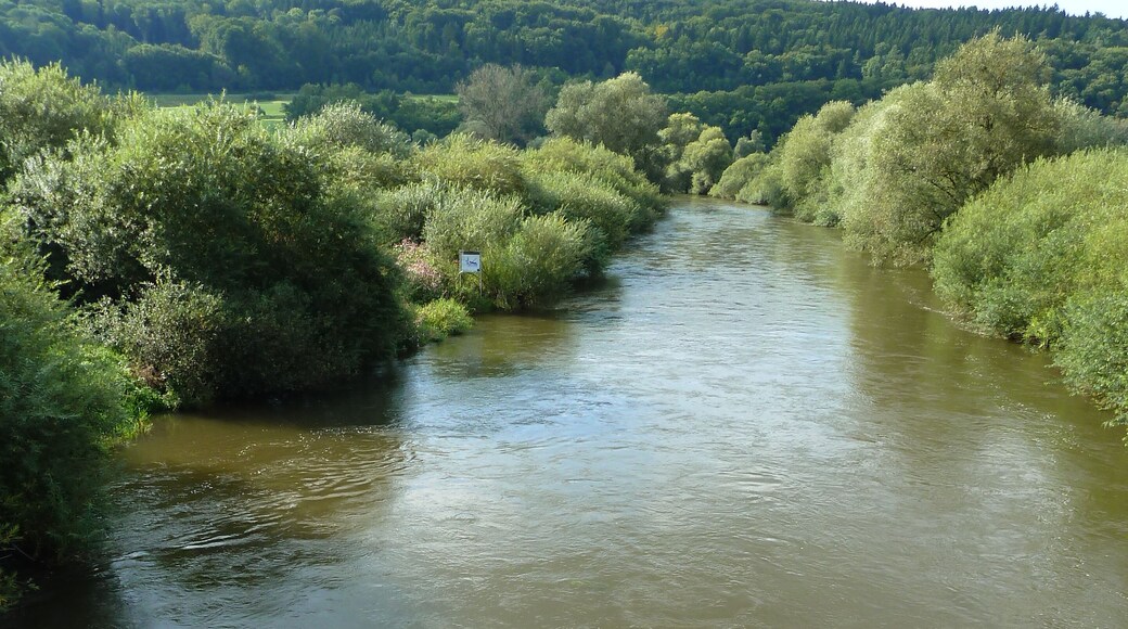 (NSG:BW-4.189)_Flußlandschaft Donauwiesen. Donau bei Zell, Riedlingen.