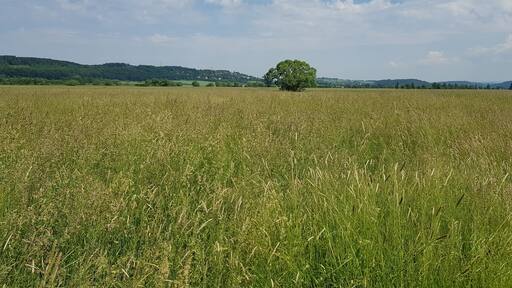 Das Nieder Mockstädter Naturschutzgebiet Umwelt pur .